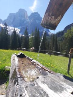 Pelmo Mountain Lodge - 6