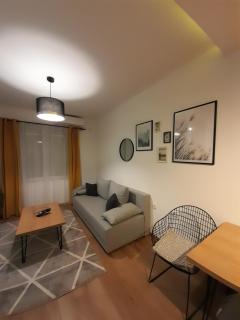 Apartment 12-09 - Bajina Bašta - 4