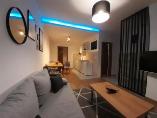 Apartment 12-09 - Bajina Bašta - 8
