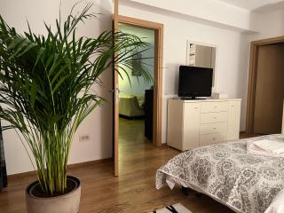 Herastrau Park Apartment - Bucarest - 0