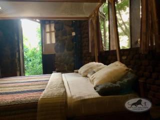 Baker & Sons Safari Company - 4