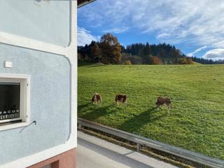 abacus-Ferienwohnung - Hopfgarten im Brixental - 1