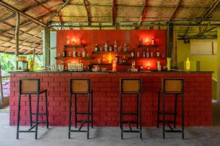 juSTa Morjim Beach Resort Goa - 80 Steps from Morjim Beach - Morjim - 8