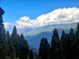 Neoravalley Homestay, Lava - 4