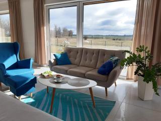 VILLA RA with garden and sauna at the Baltic Sea - 9