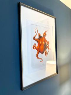 Amazing NEW Large 2 bedroom House - 5 Minutes to the nearest Beach! - Great Location - Garden - Parking - Fast WiFi - Smart TV - Newly decorated - sleeps up to 5! Close to Poole & Bournemouth & Sandbanks - 5