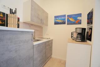 Apartment THOR am Schleswiger Dom - Schleswig - 1