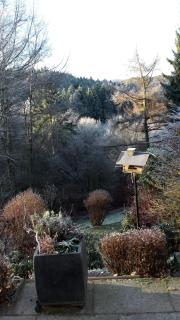 Perlenbachtal - Monschau - 4