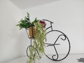 Apartman Iris s terasom - Rijeka - 7