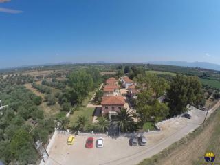 Hotel Sias Resort - Agios Avgoustinos - 5