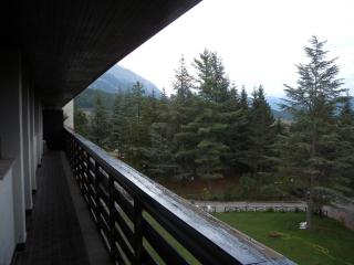 Natura, Sport, Relax in Pescasseroli Residence ERICA - 9