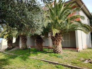 Villa del Palmeto - Badesi - 9