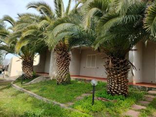 Villa del Palmeto - Badesi - 8