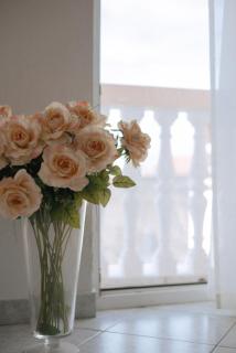 Garden House Vodice - 3