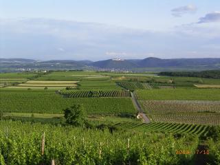 Asbacher Klosterkeller - Stratzing - 5