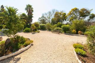 Quinta das Achadas - Mimosa - 1