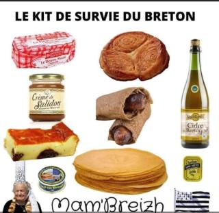 Apt de charme, les pieds dans l'eau - Plérin - 9