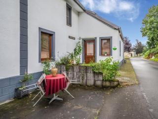Holiday home in the Eifel near an old farm - Harspelt - 8