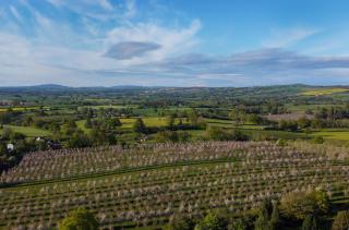 Dragon Orchard Retreat - Ledbury - 9