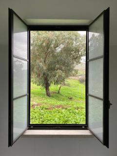 לבנדר בגלבוע בריכה מחוממת 4 חדרי שינה - 9