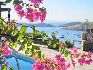 Villa Light - Vourkarion - 0
