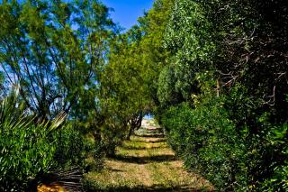 Chrissas Apartments - Rethymno - 7