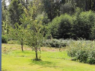 6 person holiday home in ÖSTRA ÄNTERVIK-By Traum - Östra Ämtervik - 8