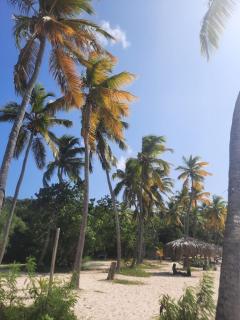 Virgin Islands Campground - Water Island - 4