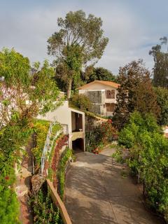 Mango Hill Kodai - Kodaikānāl - 4