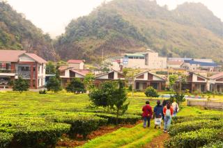 Emopea Moc Chau - Mộc Châu - 5