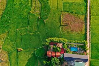Jungle Boss Travel Lodge - Phong Nha - 8