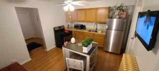 Cozy 1 bedroom, 1 min from Irving Park Blue line, free parking - Chicago - 0
