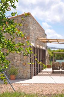 Ca'n Guiri, Eco Finca in Mallorca - Campanet - 8