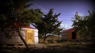 Campo de Reyes - Tafalla - 0