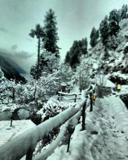 Parvatis Lap Luxury Hostel & Camps - Kasol - 6