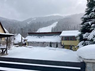 Chalet Azuga - Azuga - 1
