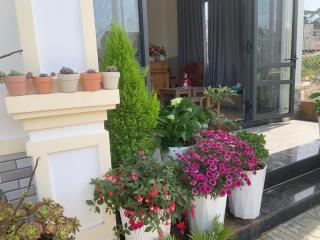 Ánh Vân Villa hotel - Da Lat - 1