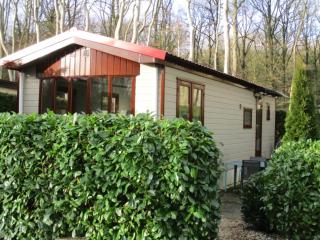Chalet nr 27 op Bospark Trimunt - De Haar - 8