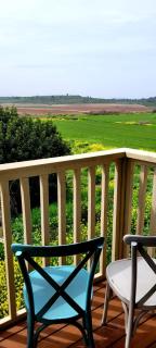 צימר חלון לרקפות zimer Window for primroses עם ג'קוזי לנוף - Tal Shaẖar - 7
