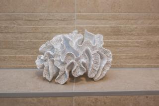 Exclusive Apartman AnaMarino - Zadar - 1