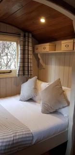 Elmdale Hut - Shepherds Hut - Yatton - 9