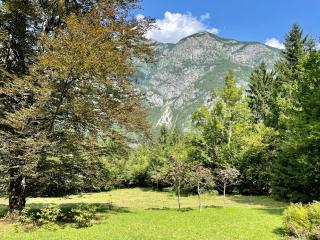Red Beech Cabin - Lake Bohinj & Triglav National Park retreat - Bohinj - 3