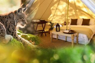 Cocoon Village - Glamping - Domaine des Grottes de Han - Rochefort - 4
