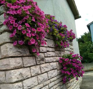 Lux D'Or Apartment - 6