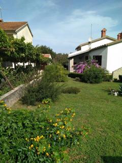 Lux D'Or Apartment - 7