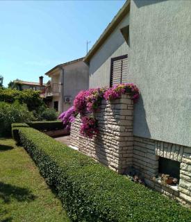 Lux D'Or Apartment - Pula - 3