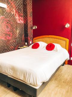 Garden Hotel Rennes Centre Gare - Rennes - 6