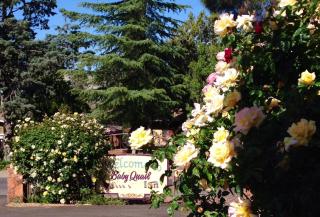 Baby Quail Inn - Sedona - 5