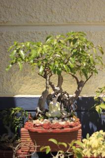 Meeslu Mane, The Chic HomeStay - Hassan - 4