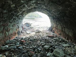 The Oystercatcher - Rostrevor - 1
